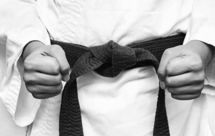 stage karate libertas