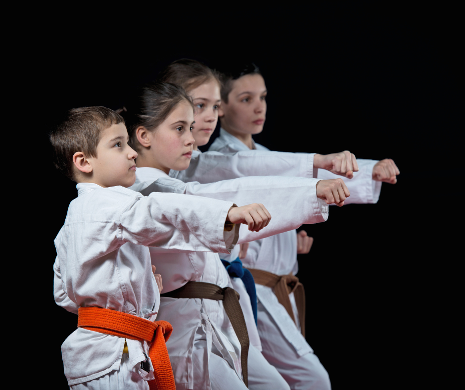 karate (2) attestati di graduazione tecnica
