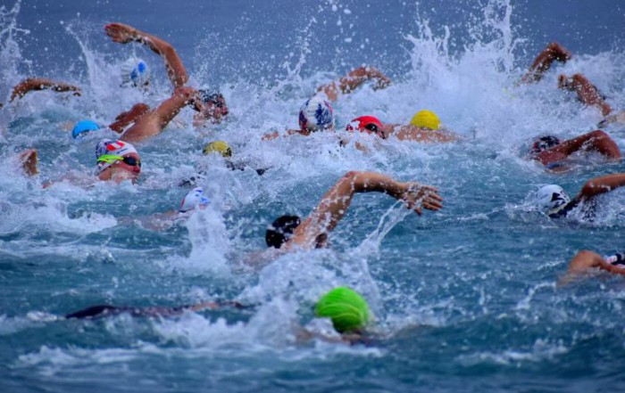 Nuoto agonistico: In Sport Rane Rosse