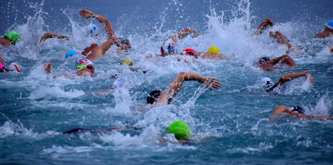 Nuoto agonistico: In Sport Rane Rosse