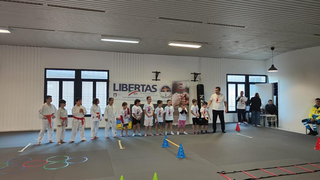 sport da combattimento