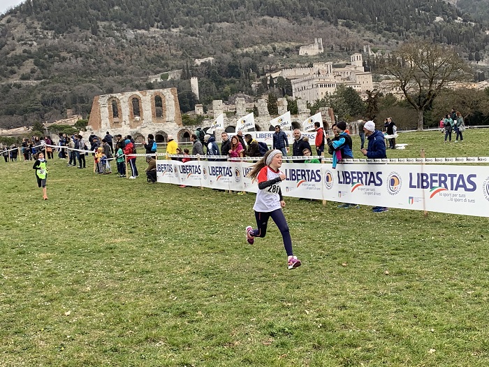 LIBERTAS2 campestre