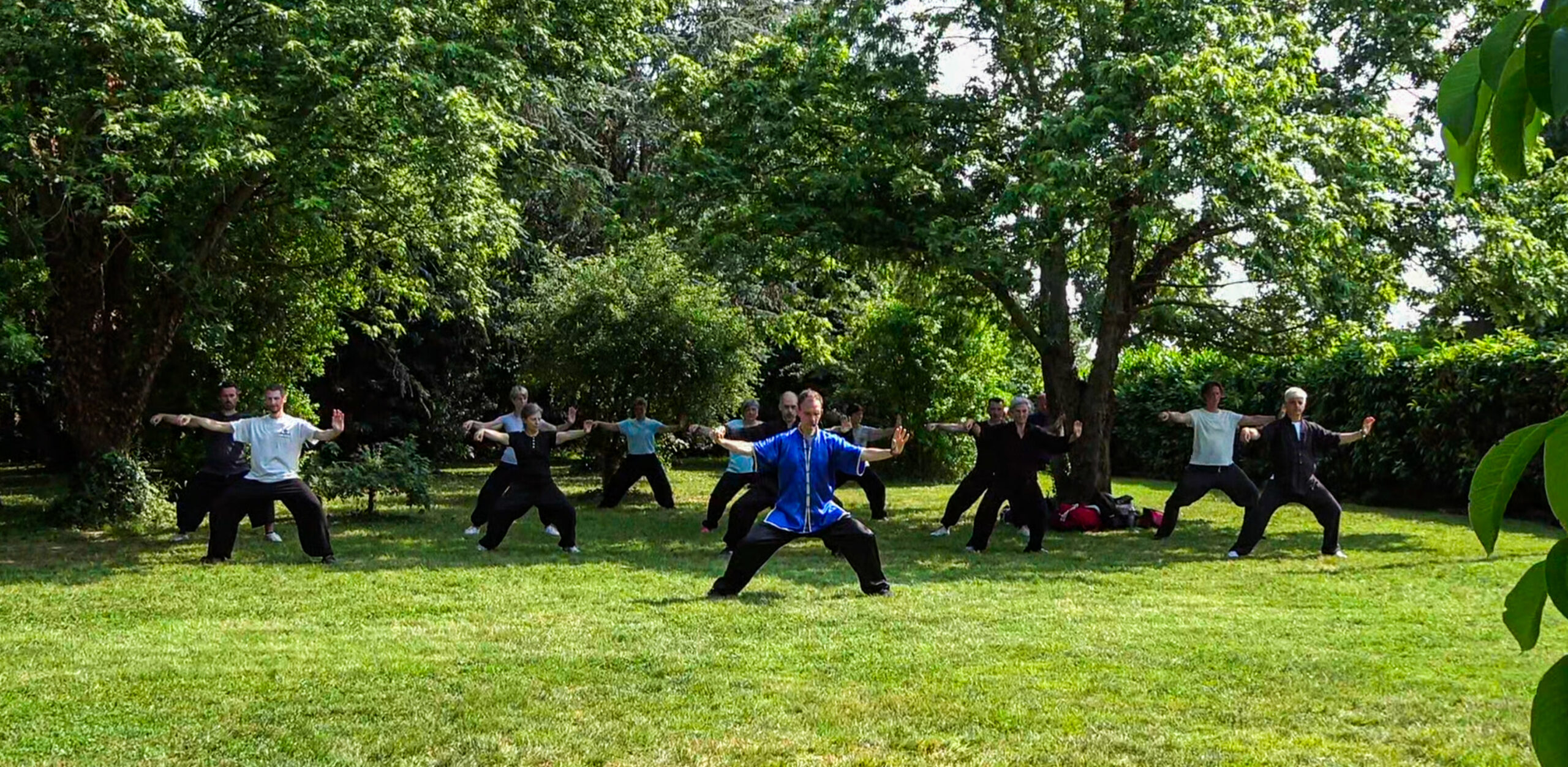 shaolin8