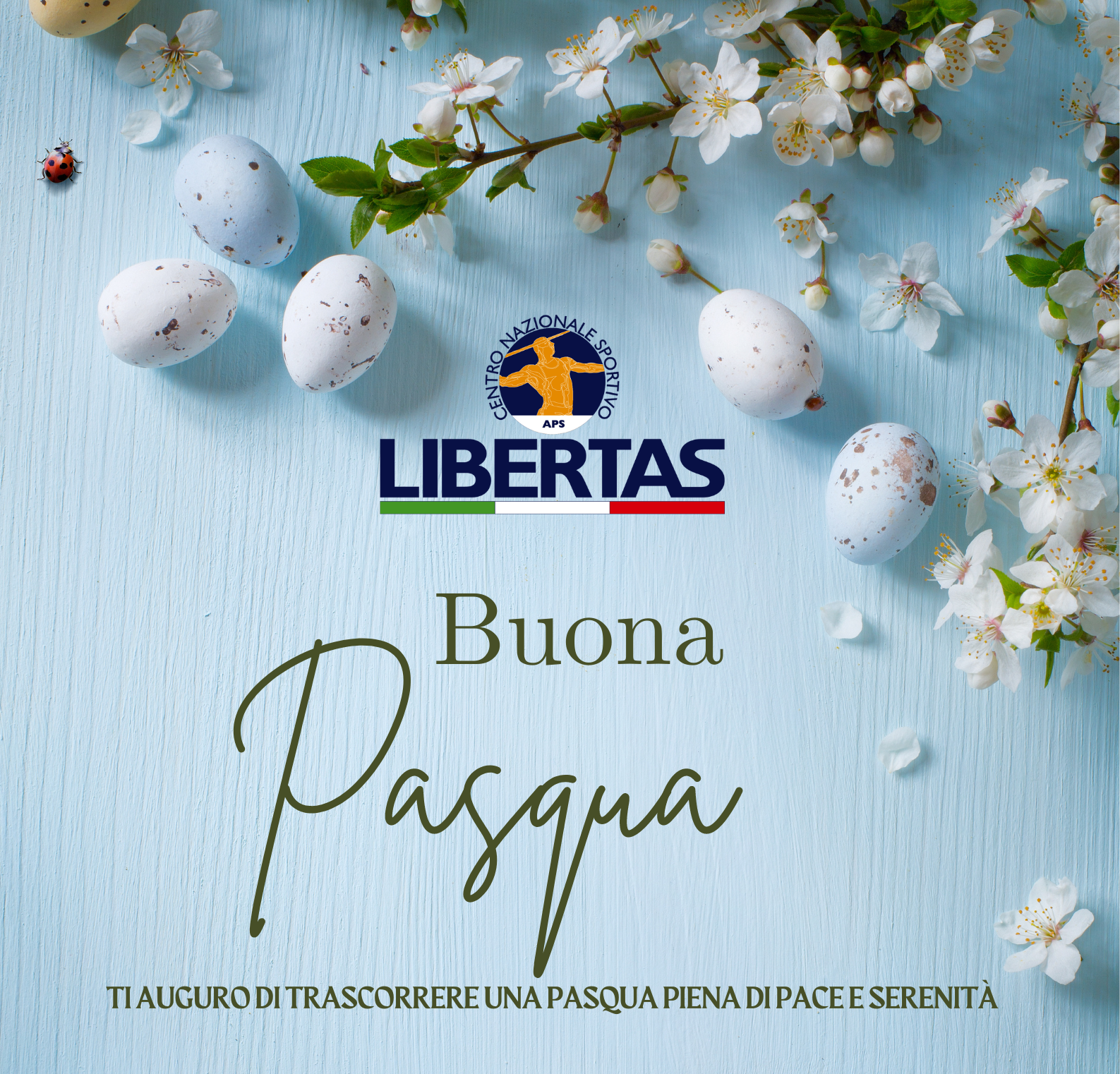 Buona Pasqua (2)